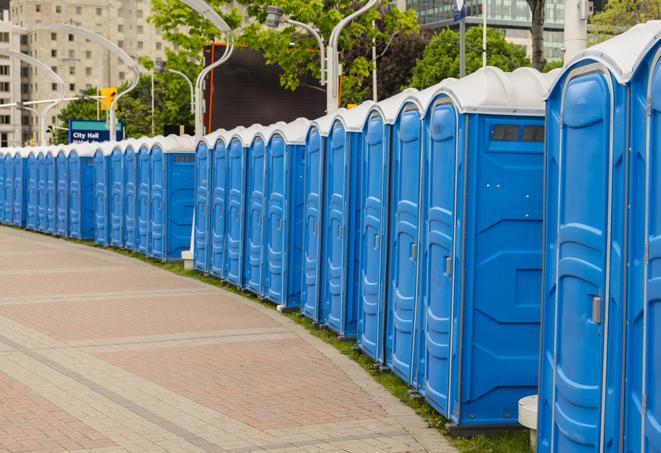 Seasonal porta potty units set up at a Douglasville, Georgia venue